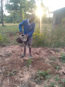 Planting with school kids